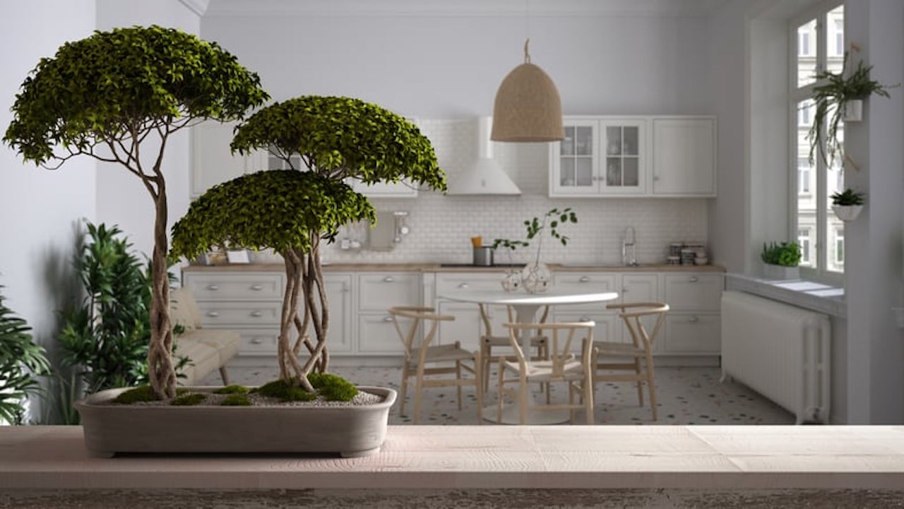 Japanese interior design kitchen indoor plants