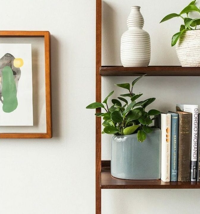 office-decor-to-boost-energy_plant-bookend