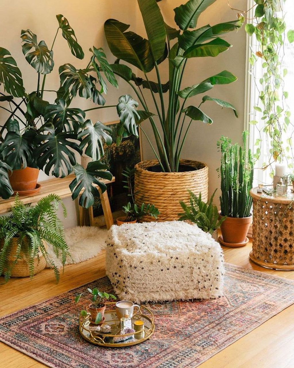 home-meditation-room-corner_plants-with-cushion