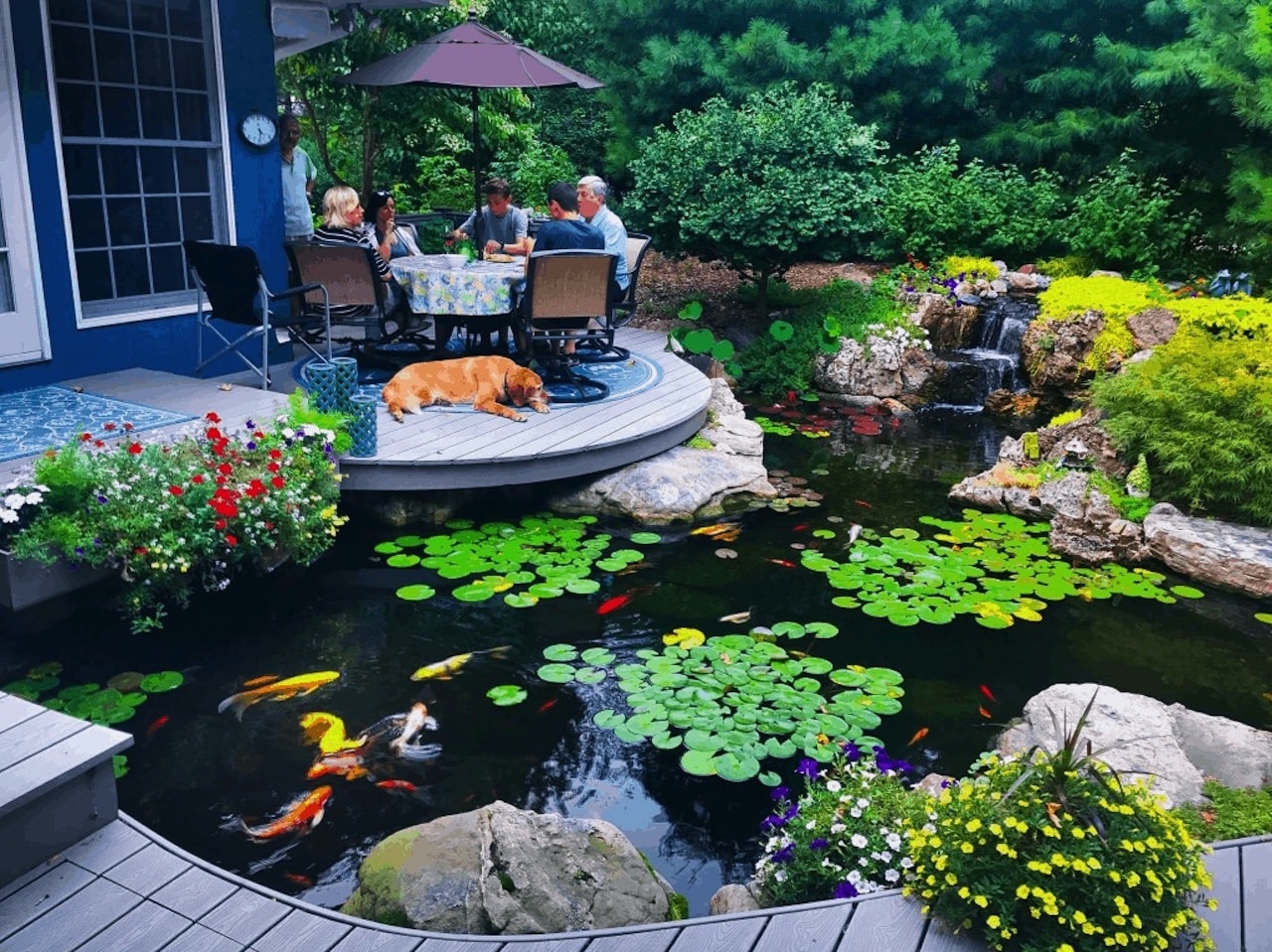 home-outdoor-oasis-ideas_water-garden-pond