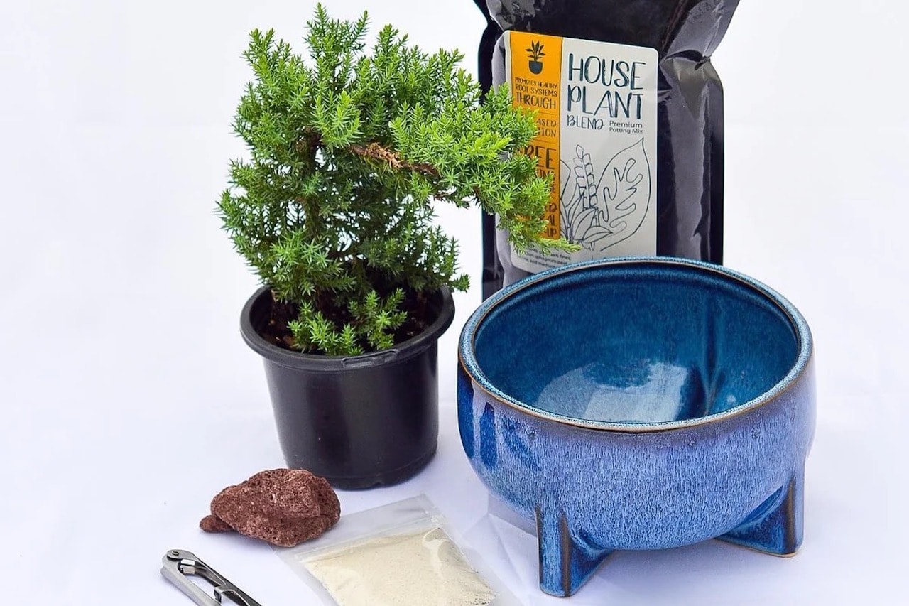 cozy gift ideas for homebodies houseplant kit