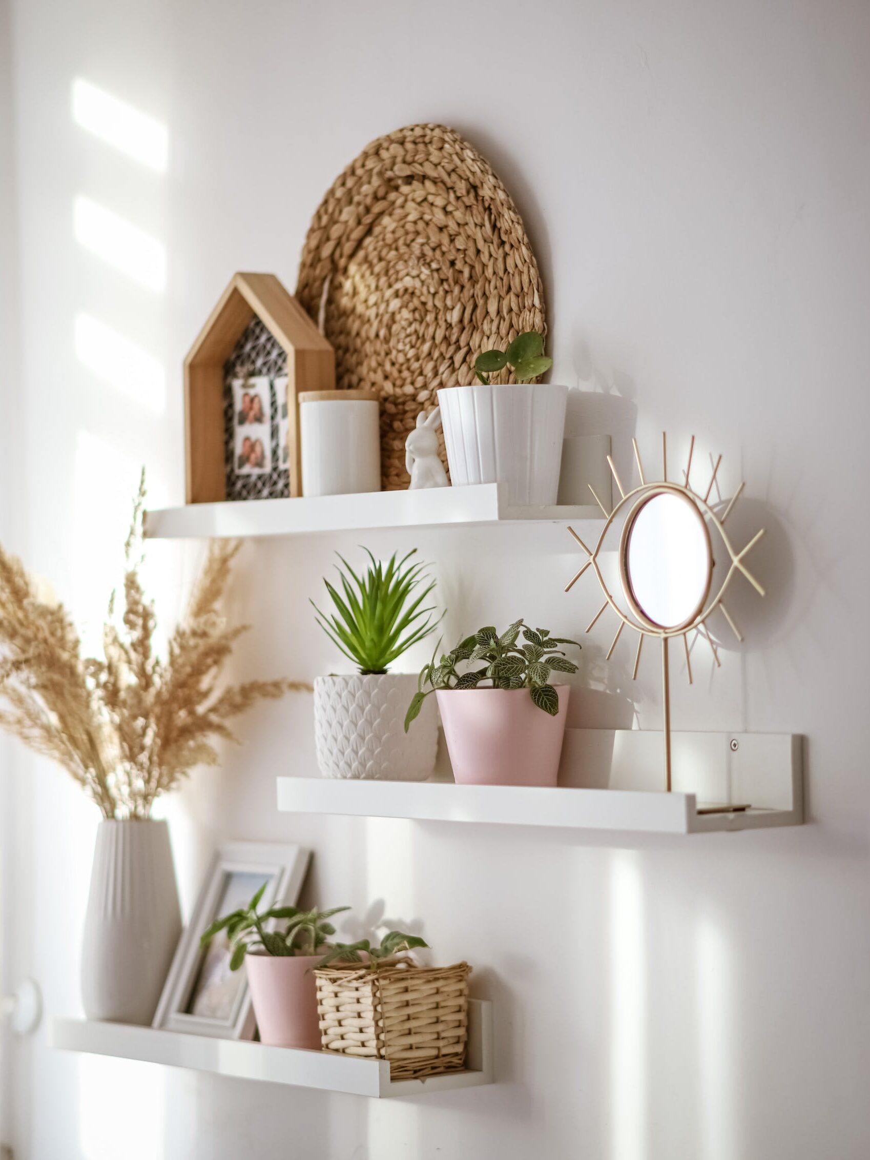 Interior of modern white room with shelves with flowers and plants in pots at soft daylight